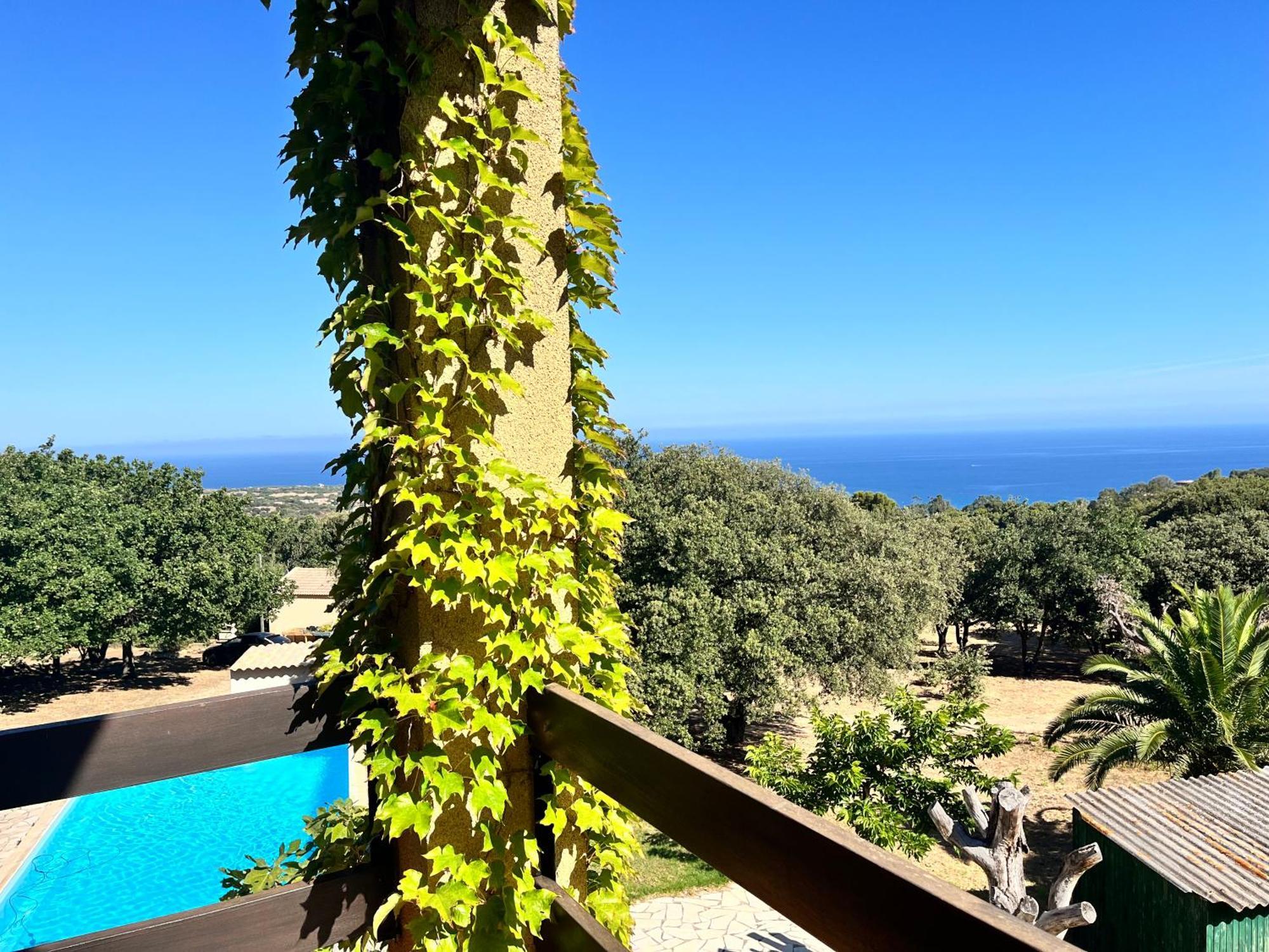 Campuleccia * Lumio (Corsica)